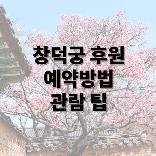 μ°½λκΆνμμμ½