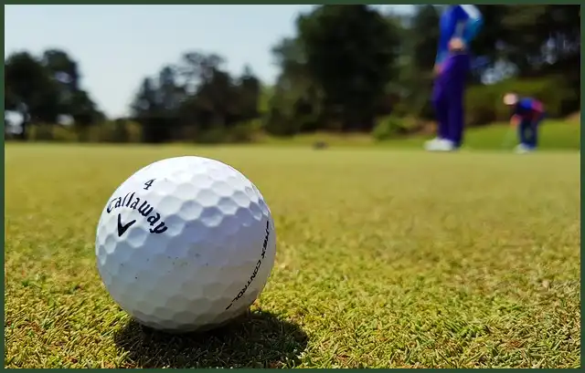 파크골프 공 4피스, 3피스, 2피스 차이점은?