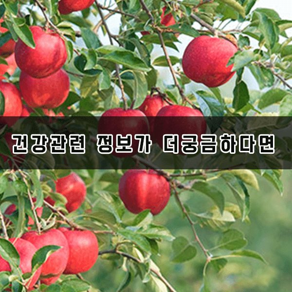 건강관련정보안내