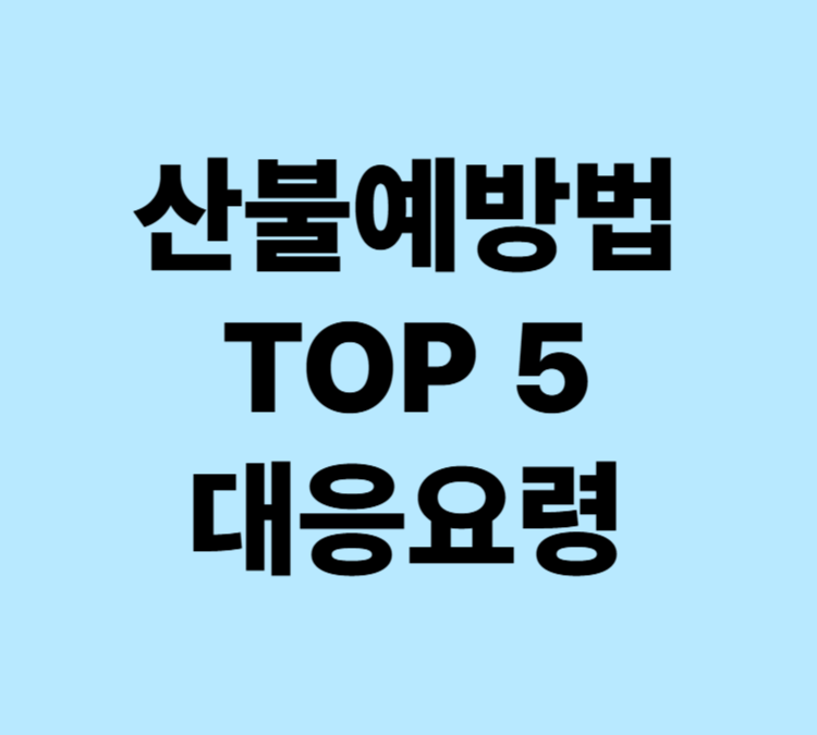 건조한 날씨 산불 예방법 TOP 5 대응요령