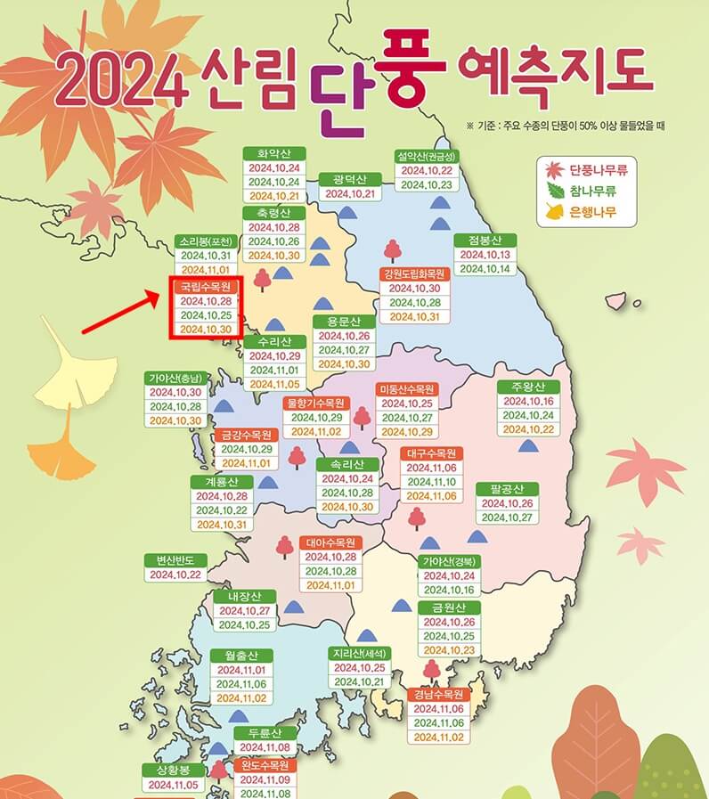 국립수목원-단풍-구경