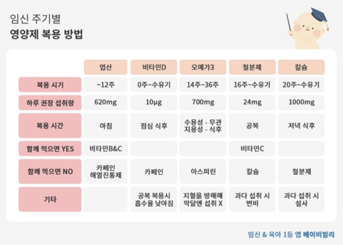 임산부 영양제 복용 시간