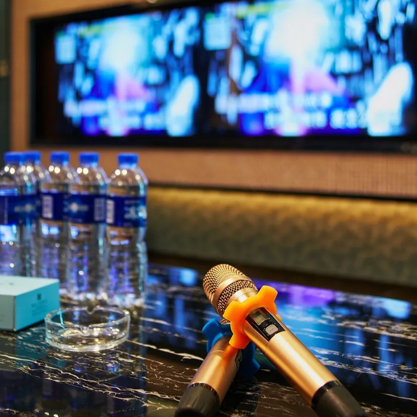 마포구 망원역 노래방 사건