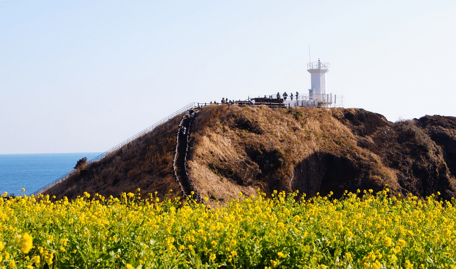 제주도 등대