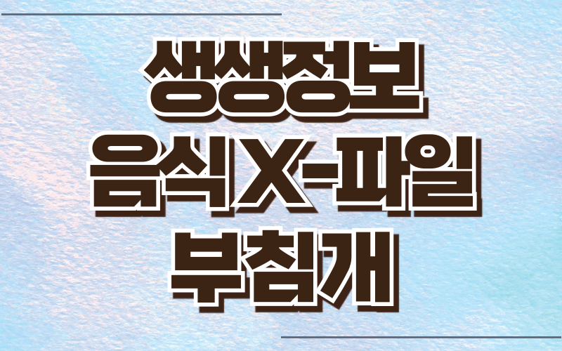 생생정보 음식X파일 부침개
