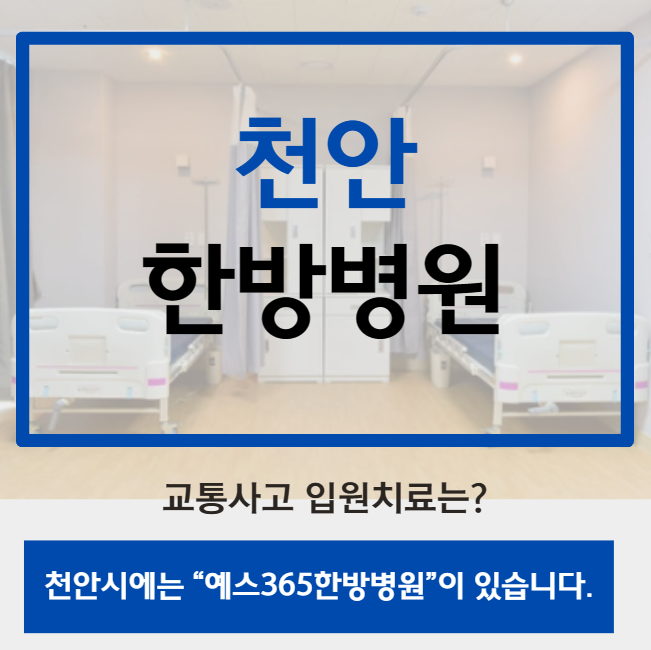 천안 교통 사고 병원