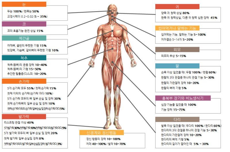 장해-분류표