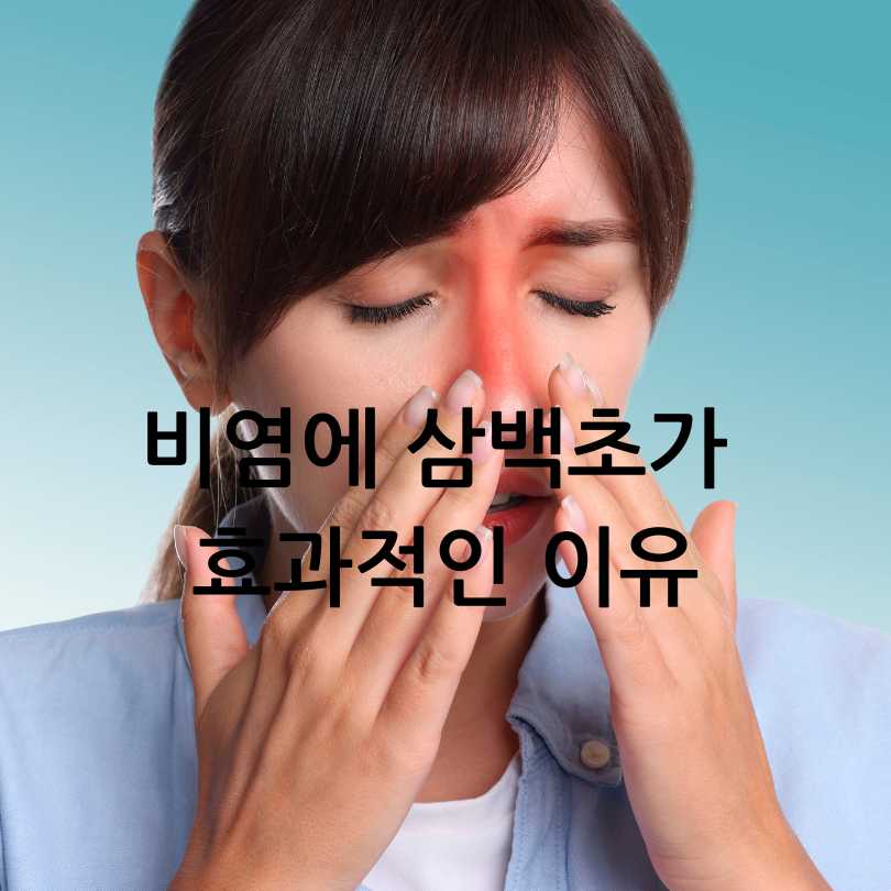 삼백초와 비염