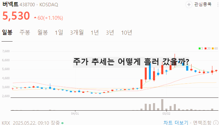 메타버스 관련주 대장주 테마주 TOP5 : 스마트글라스
