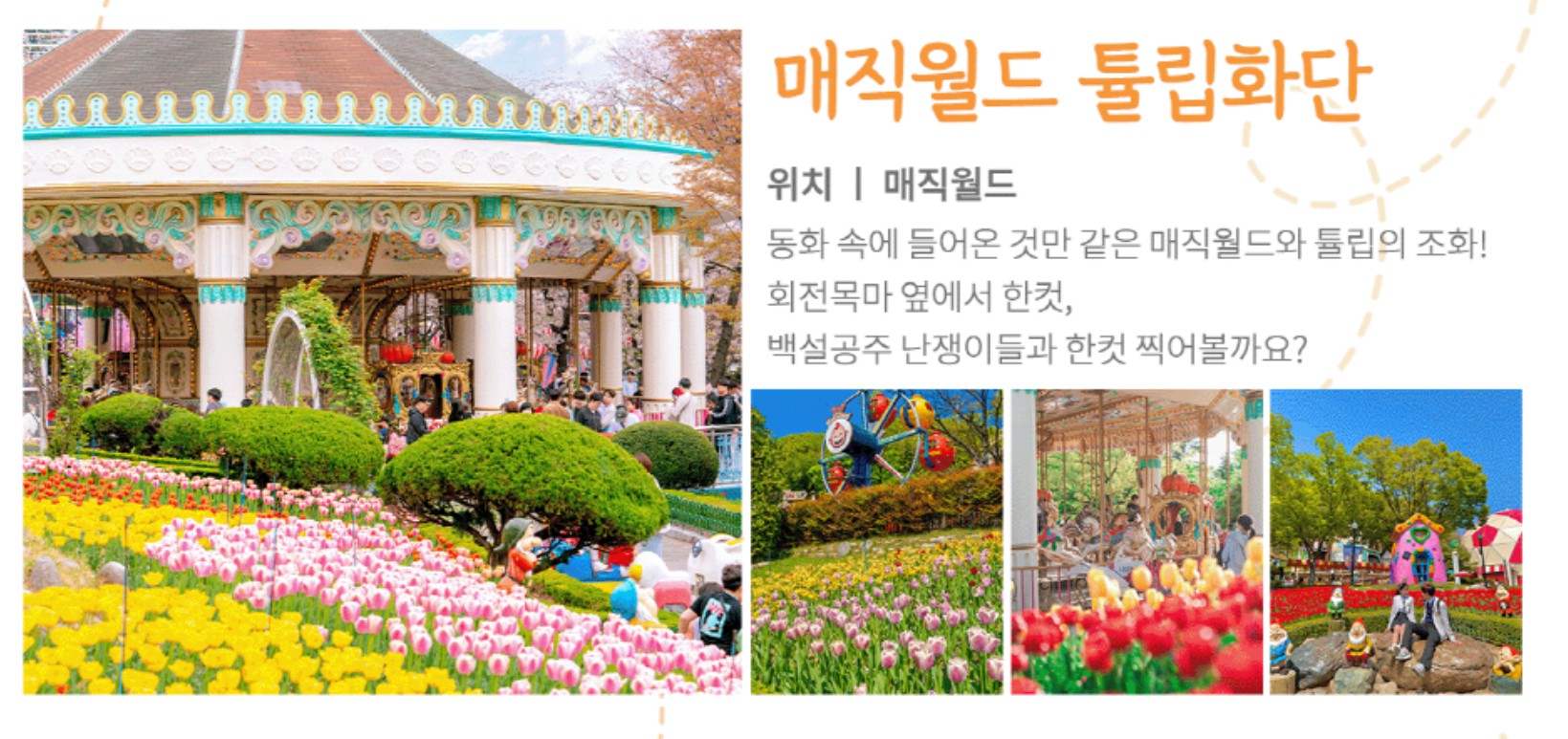 이월드 튤립 트래블