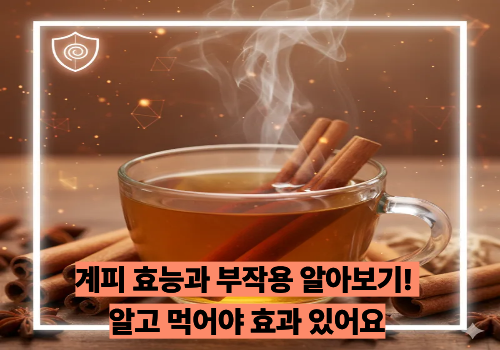 계피 효능과 부작용 알아보기! 알고 먹어야 효과 있어요