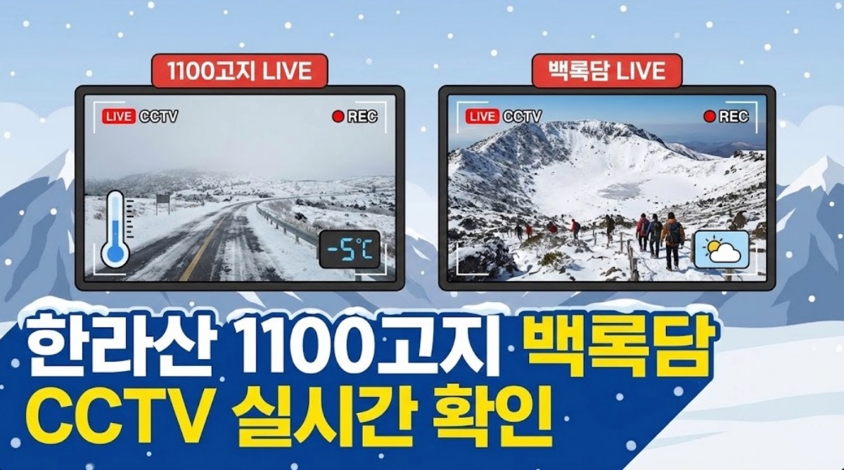 한라산-1100고지-백록담-CCTV-실시간-확인