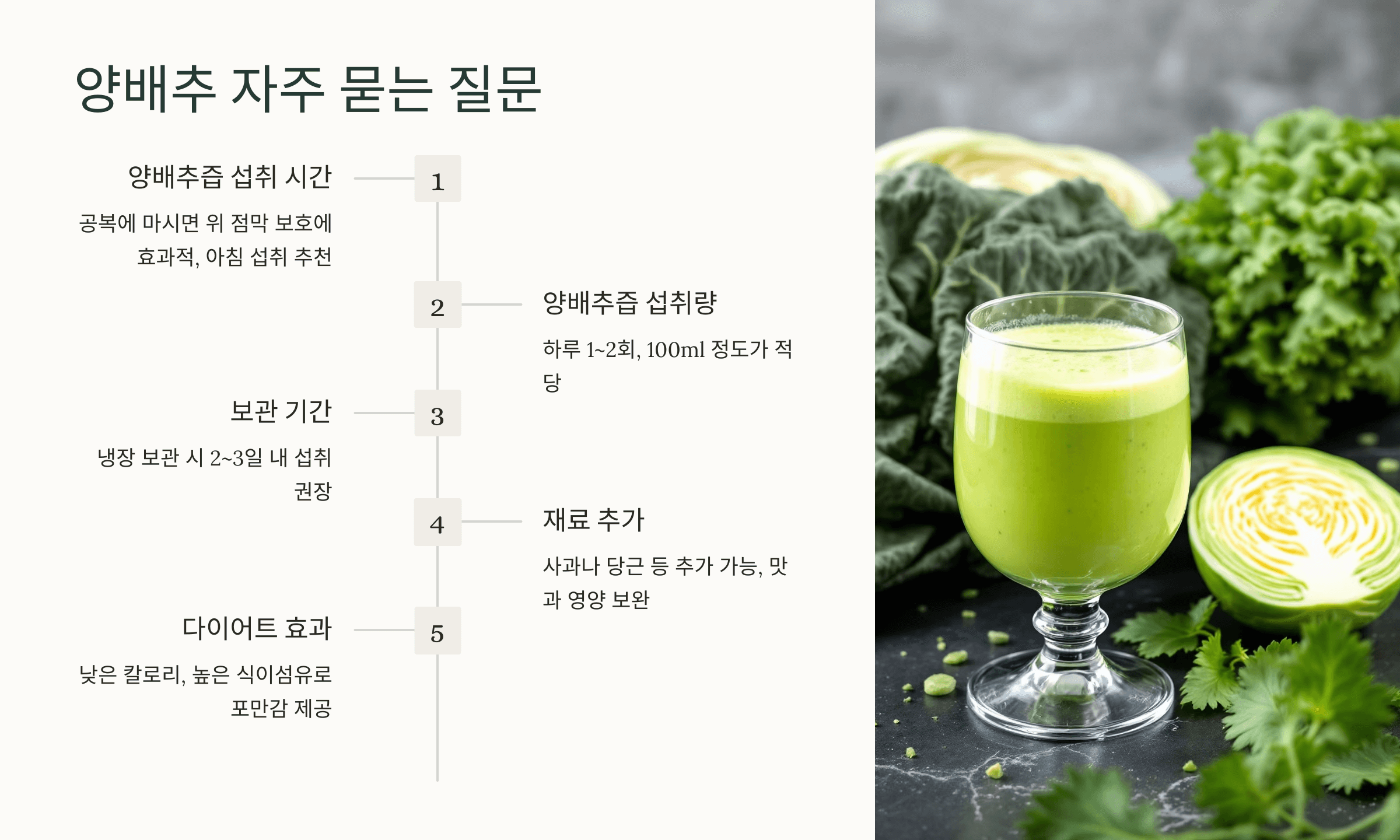 양배추 사진입니다.