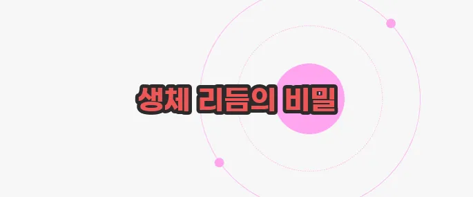 새벽에 잠이 깨는 이유 궁금한 점, 풀어보죠