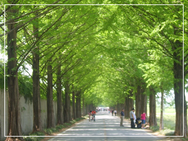 담양 메타쉐커이아길 이미지 / 출처: By dalgial - 자작, CC BY-SA 3.0 위키백과