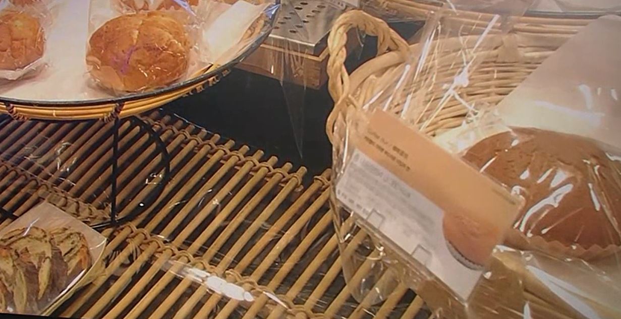 SPC대국민사과
