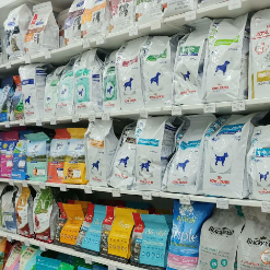 진열되어 있는 여러 종류의 강아지 전용 사료