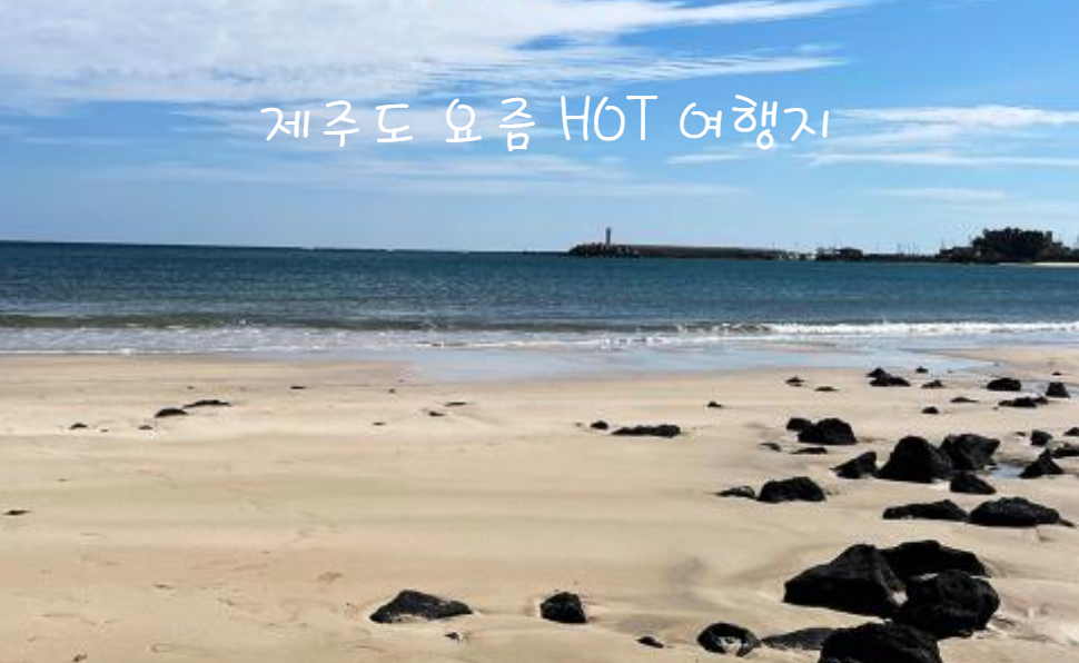 제주도 요즘 핫한 여행지 추천 BEST 5