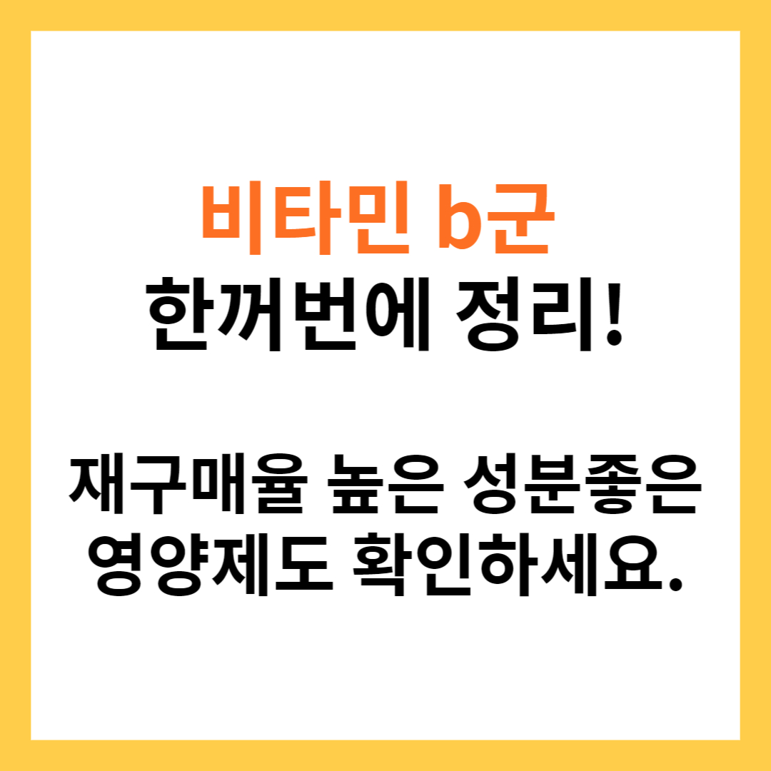 비타민b 영양제 추천