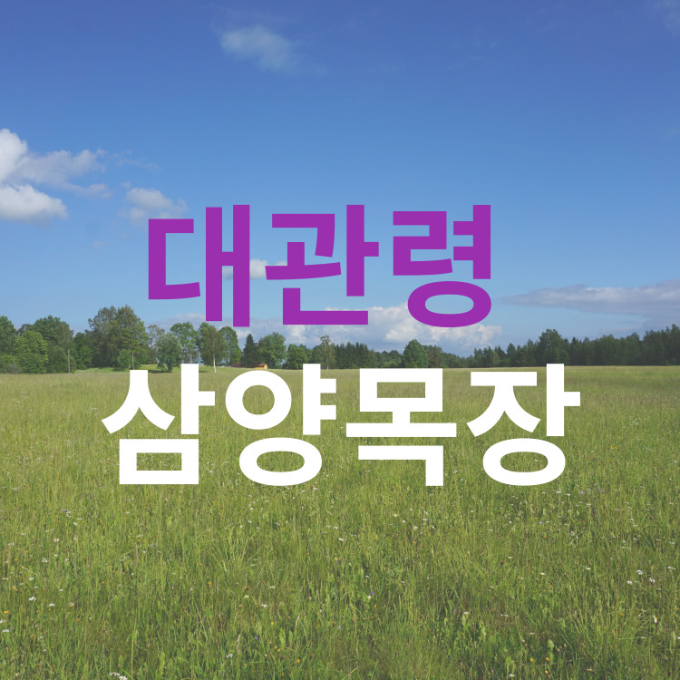 대관령삼양목장 소개