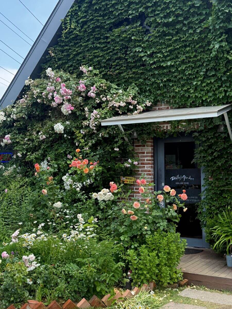 용인 딜라의정원 주차장과 건물 외관