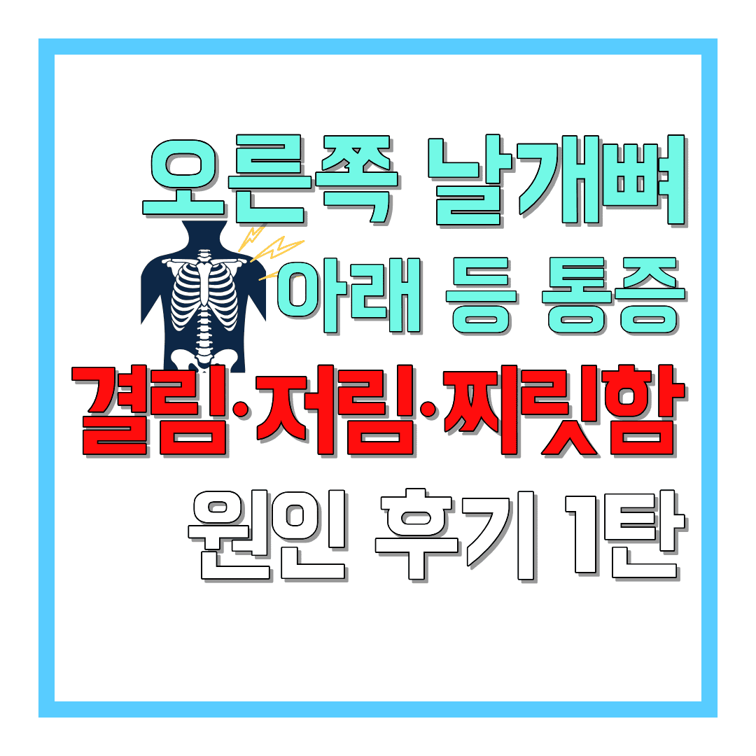 오른쪽-날개뼈-아래-등-통증-결림·저림·찌릿함-원인-후기-1탄-썸네일
