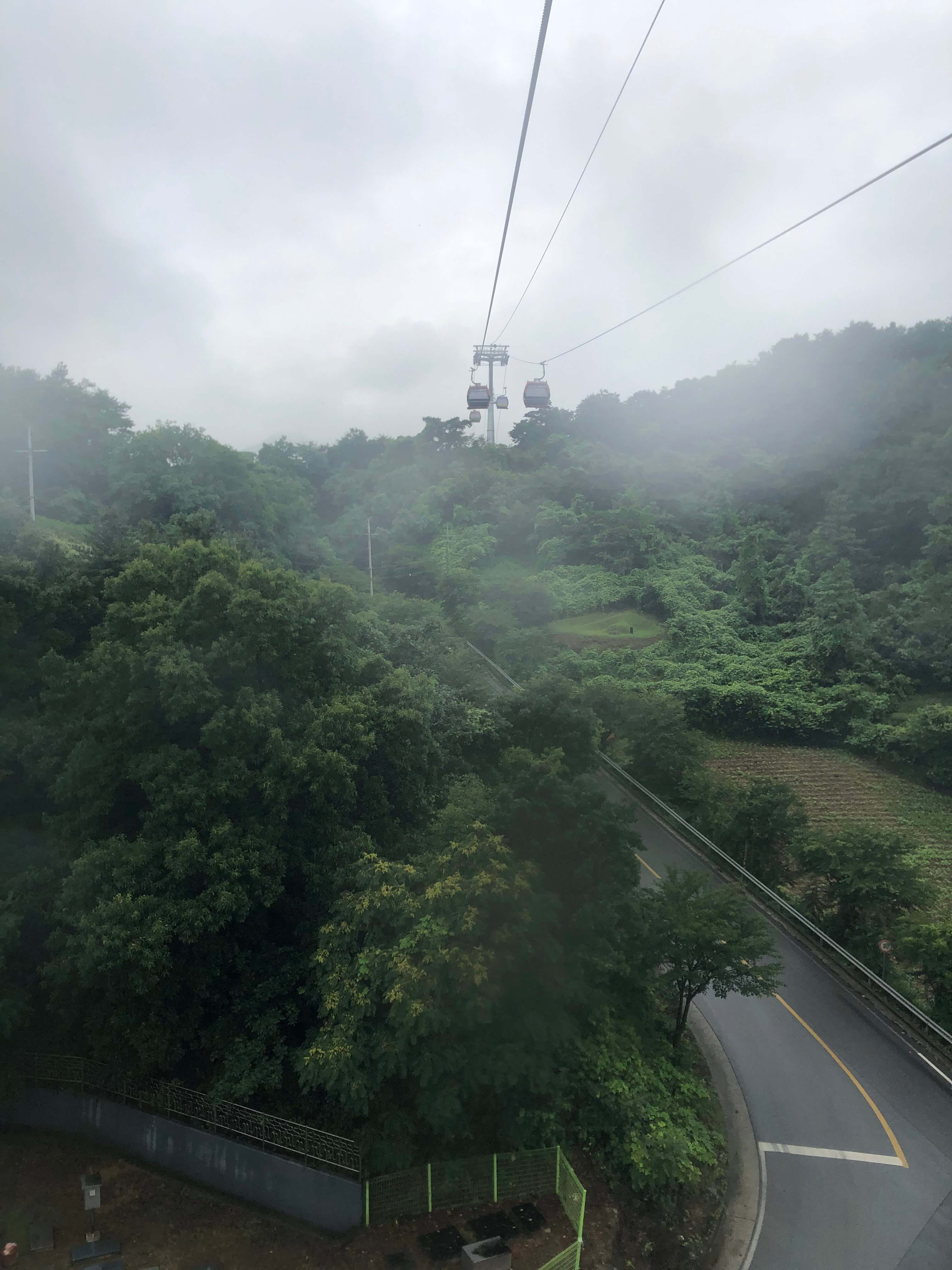 청풍 호반 케이블카 타기 전 이것 꼭 확인하세요!