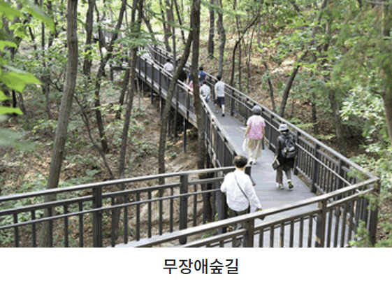 수락 휴 트리하우스