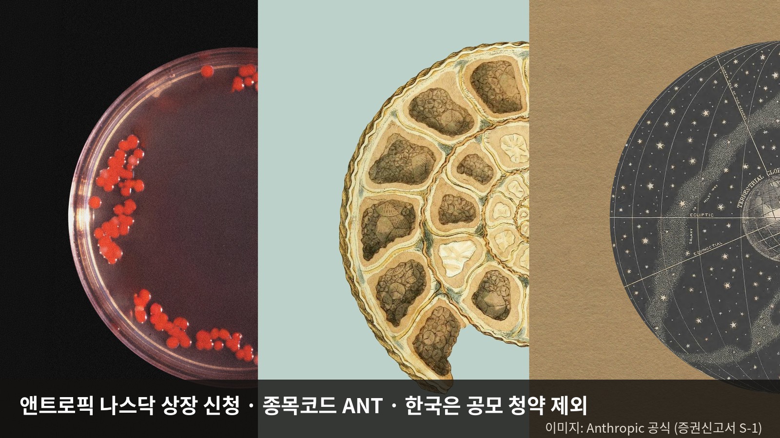 앤트로픽 상장 신청, 한국은 공모주 청약 대상에서 빠졌다 — 나스닥 ANT 상장일·사는 법, 증권신고서로 본 107조 적자의 정체와 SKT 지분