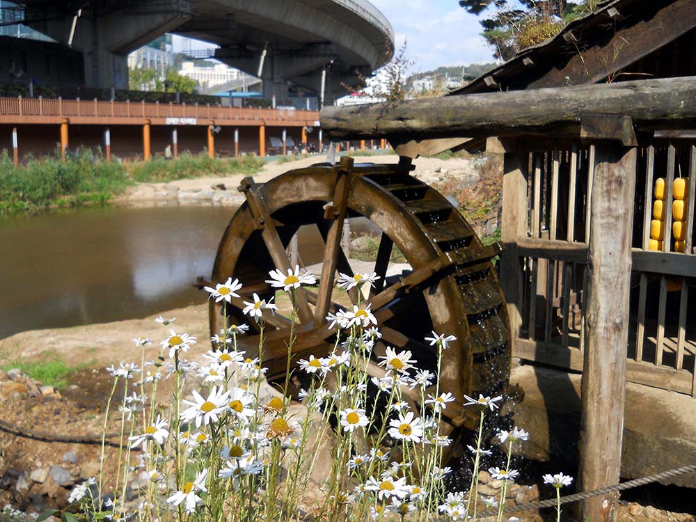 독수리 5형제가 가 본 안산(Ansan)
