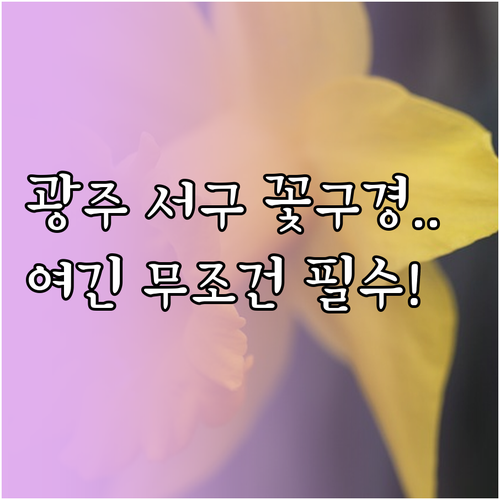 3월 광주 서구 나들이 명소 상록회관..