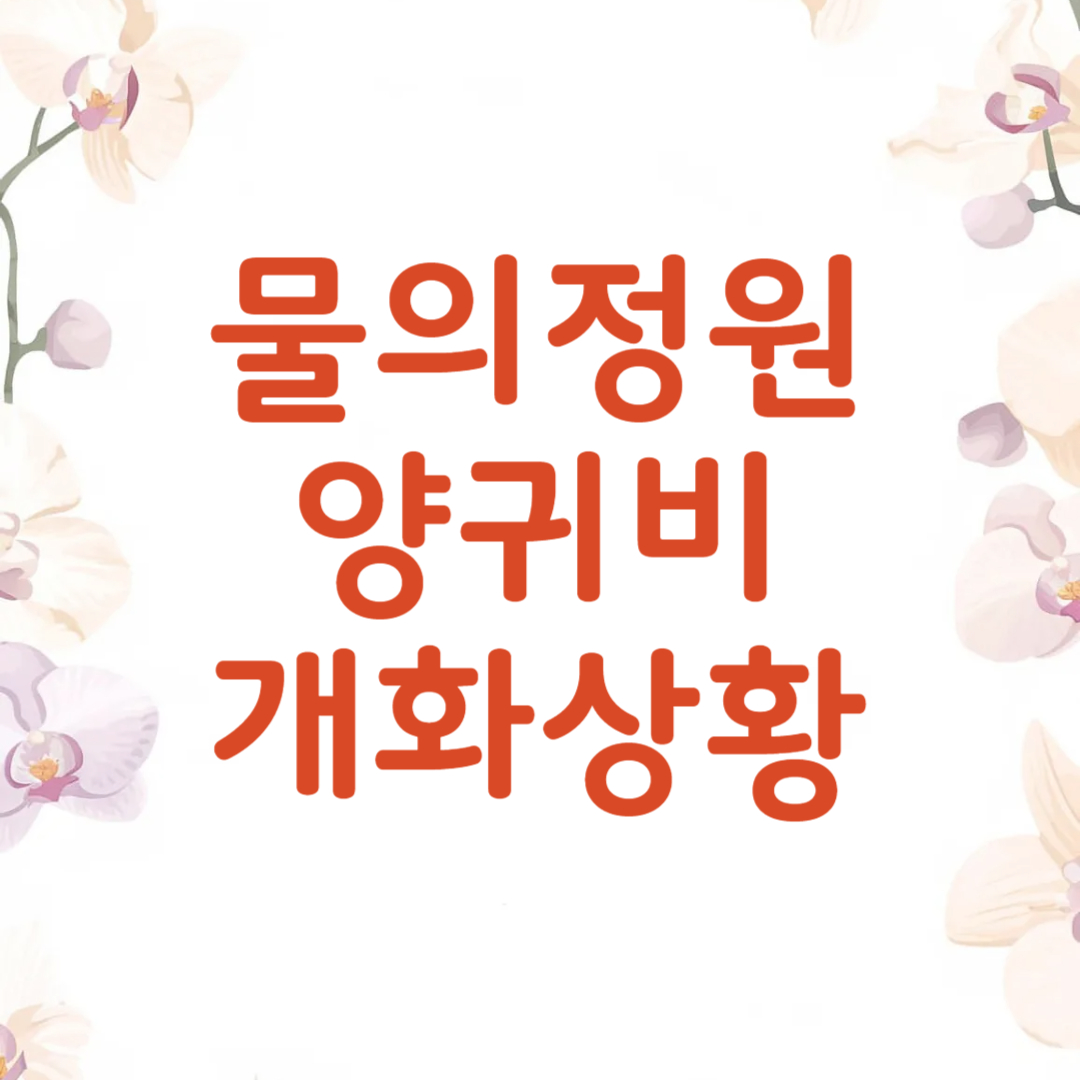 남양주 물의정원 양귀비 꽃밭