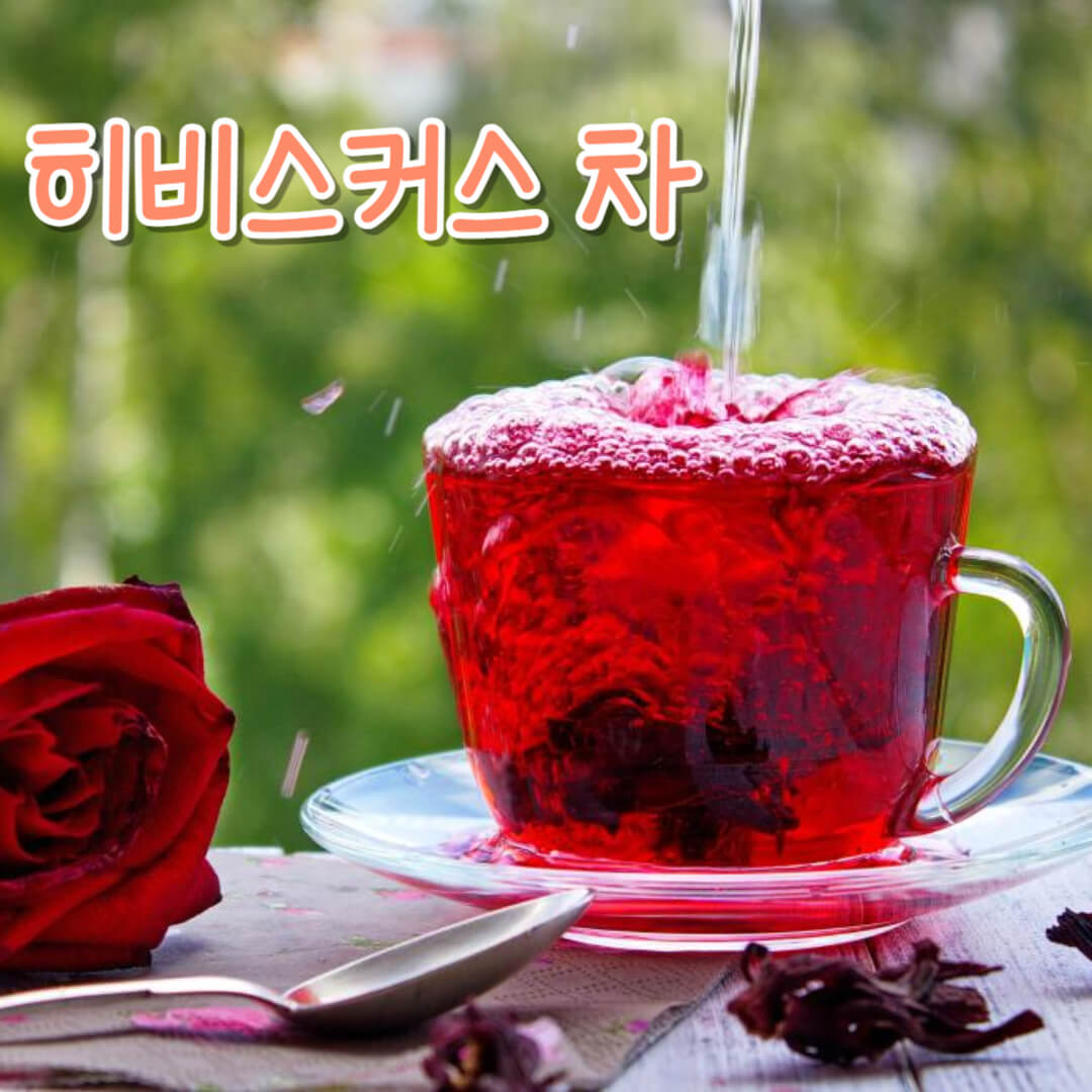 히비스커스 다이어트