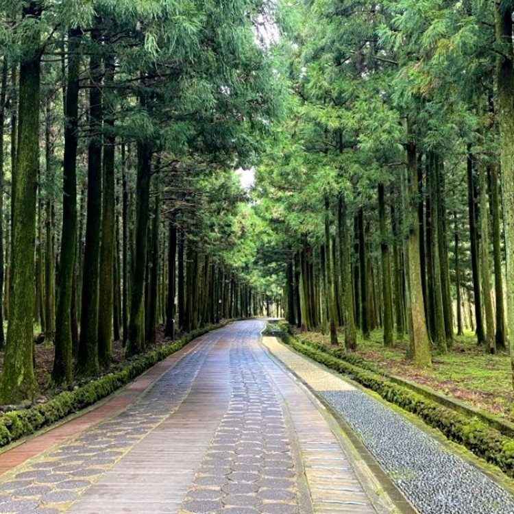 유명산 자연휴양림