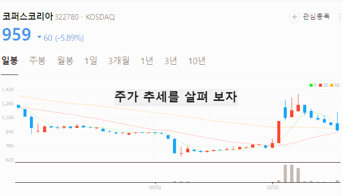 넷플릭스 관련주 대장주 테마주 수혜주 TOP7