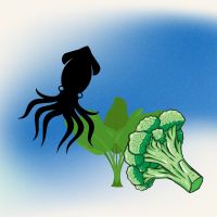 오징어와 브로콜리 일러스트