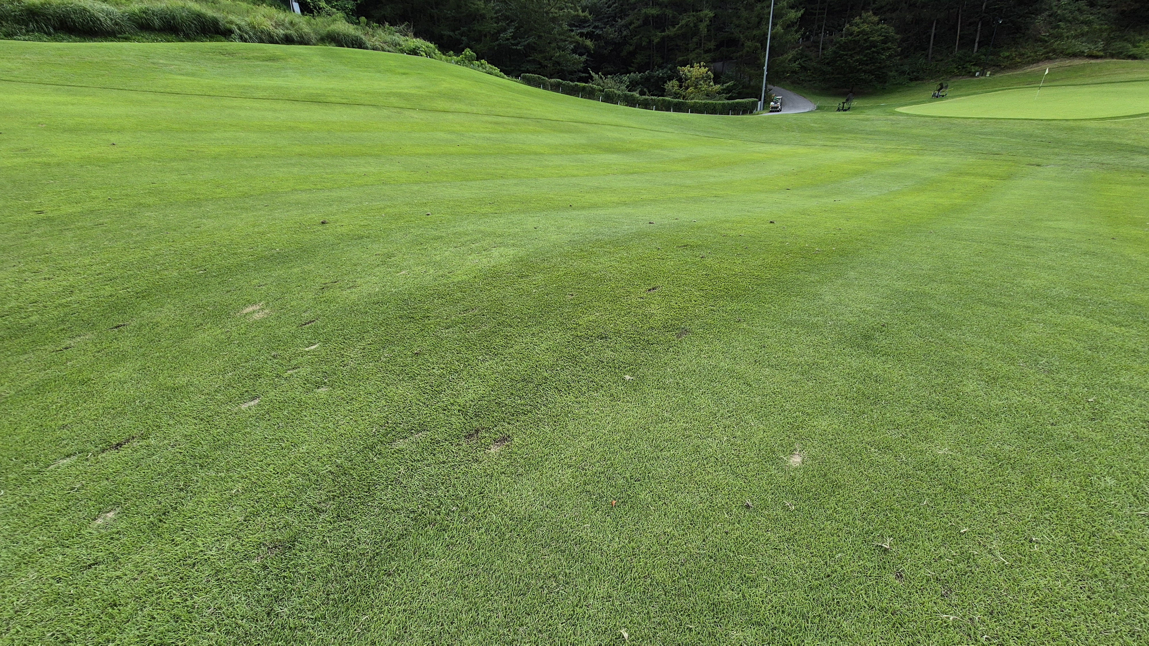 오크힐스cc 코스난이도