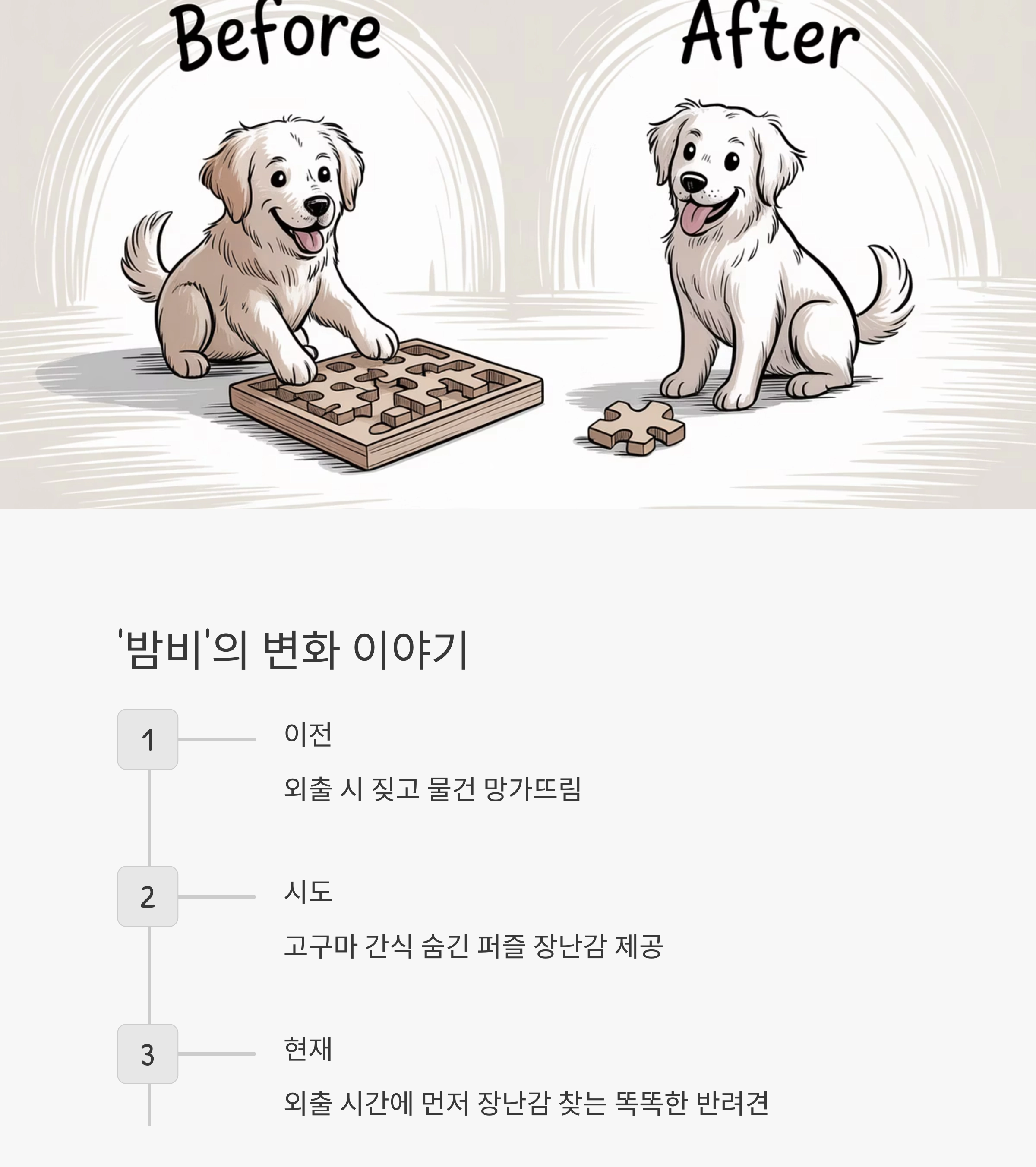 외출 전 장난감 하나로 해결하는 반려견 분리불안