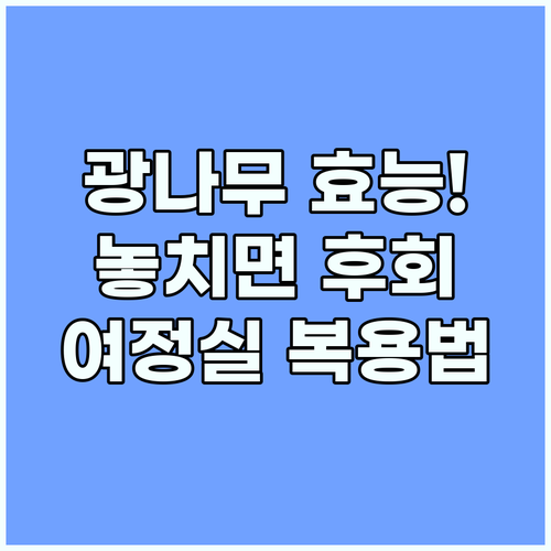 여정실 광나무 열매의 한의학적 효능과..