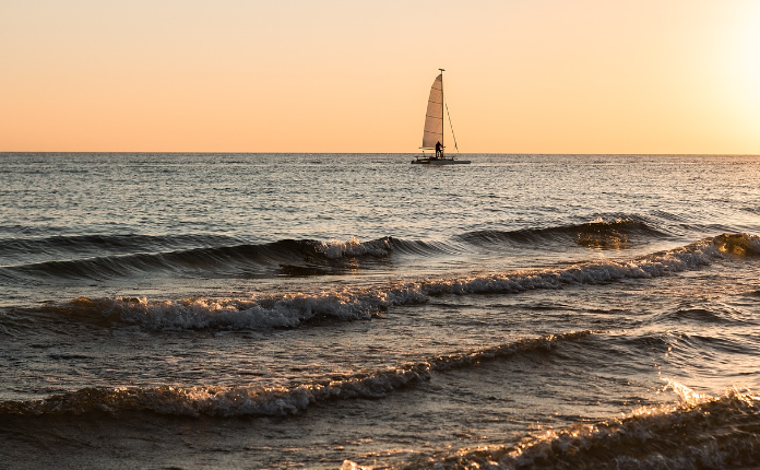 해양 생태계 이해하기