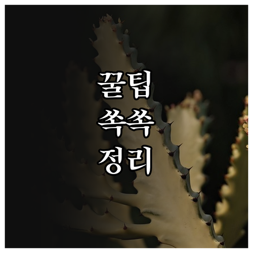 수원보훈요양원 2025 입소 신청 방..