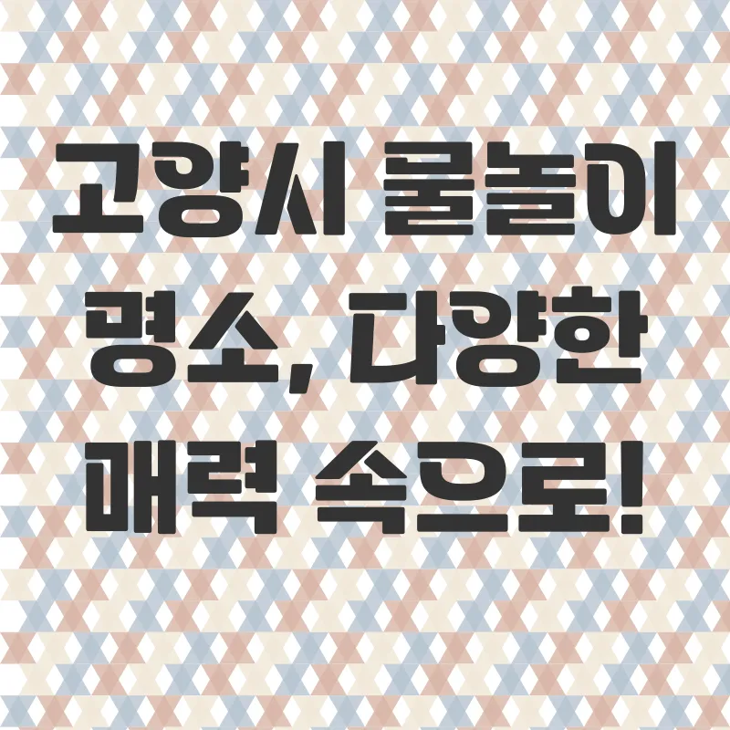고양시 물놀이_2