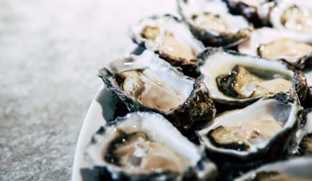 남해 겨울 별미 굴