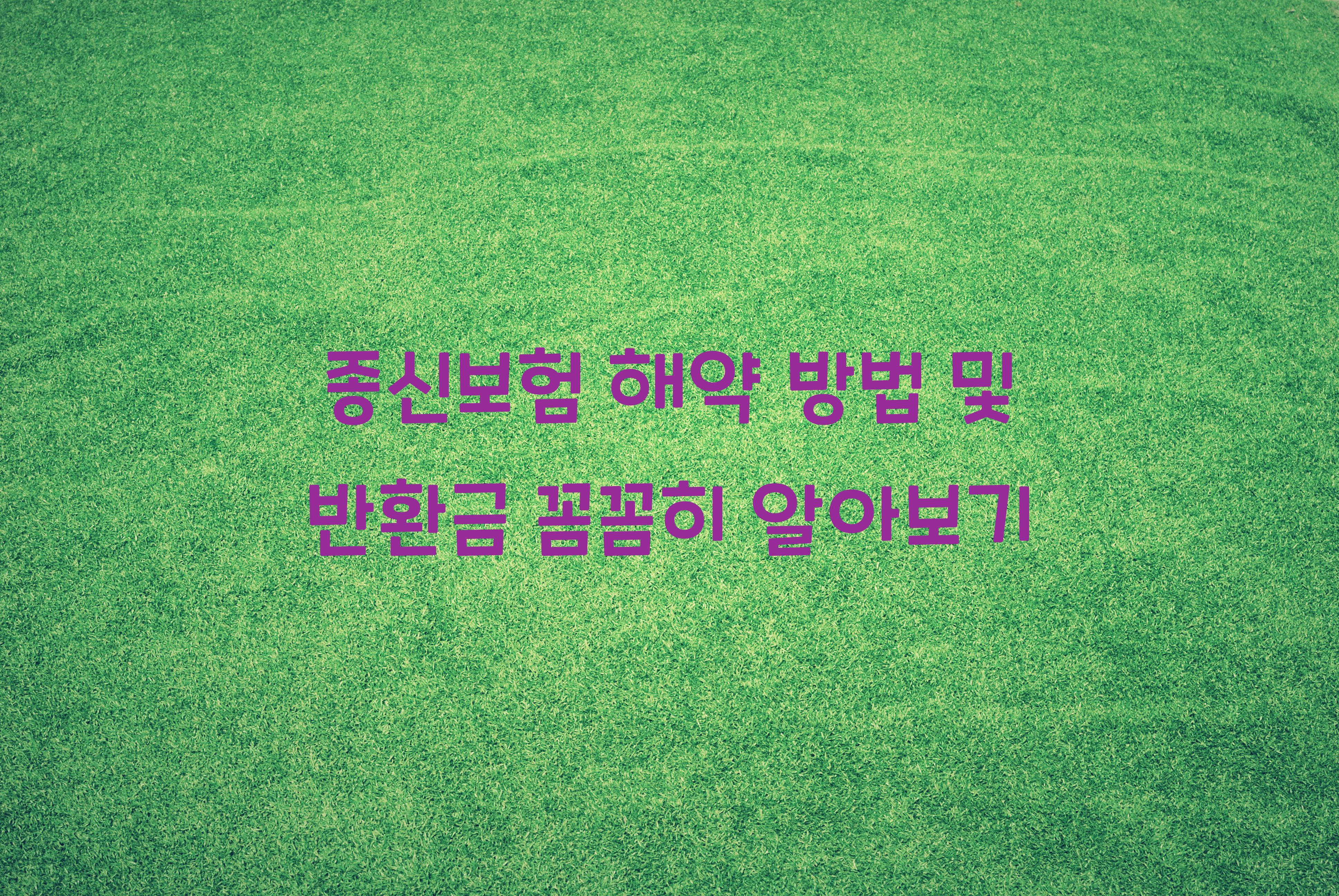 종신보험 해약 방법