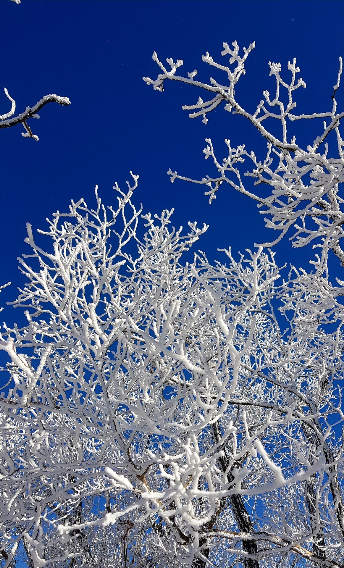 울산 가지산09 설경과 상고대
