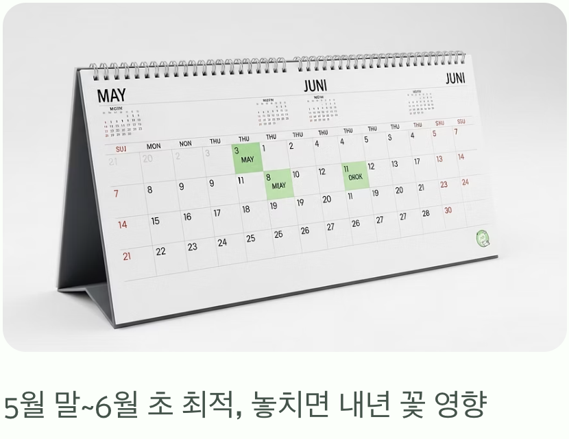 가지치기의 '황금 시간대', 꽃이 진 직후