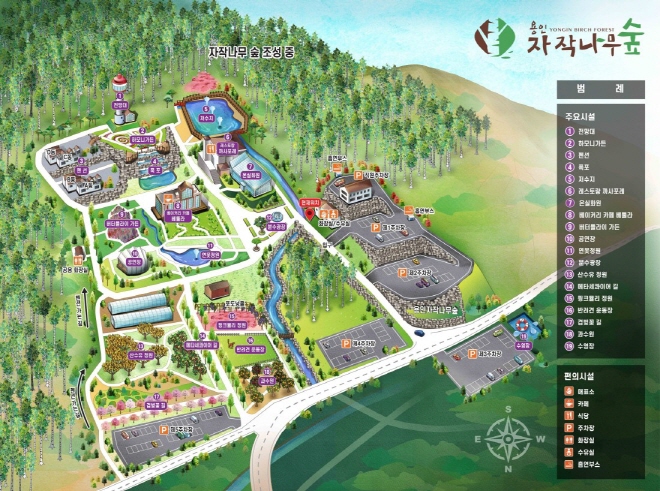 용인 자작나무 숲 입장료