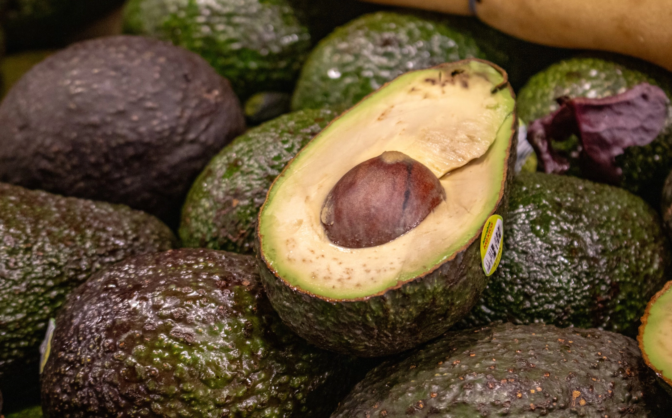 아보카도 레시피