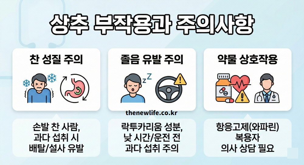 찬 성질로 인한 배탈, 운전 전 졸음 유발, 항응고제 복용 시 주의사항을 정리한 상추 부작용 정보