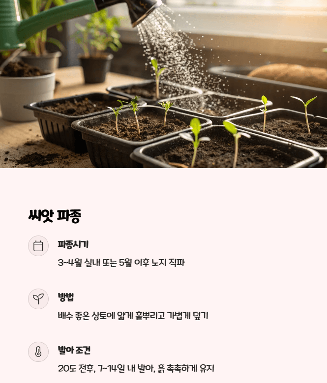 버들마편초 파종시기